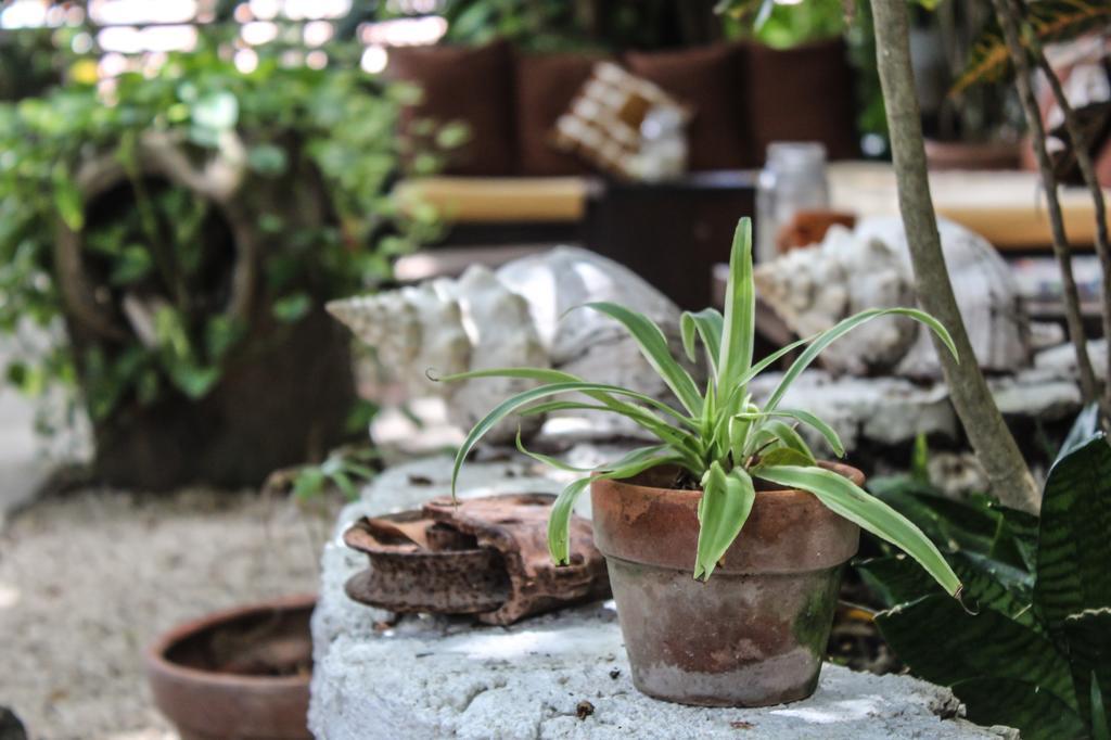 Secret Garden Tulum Hotel Экстерьер фото