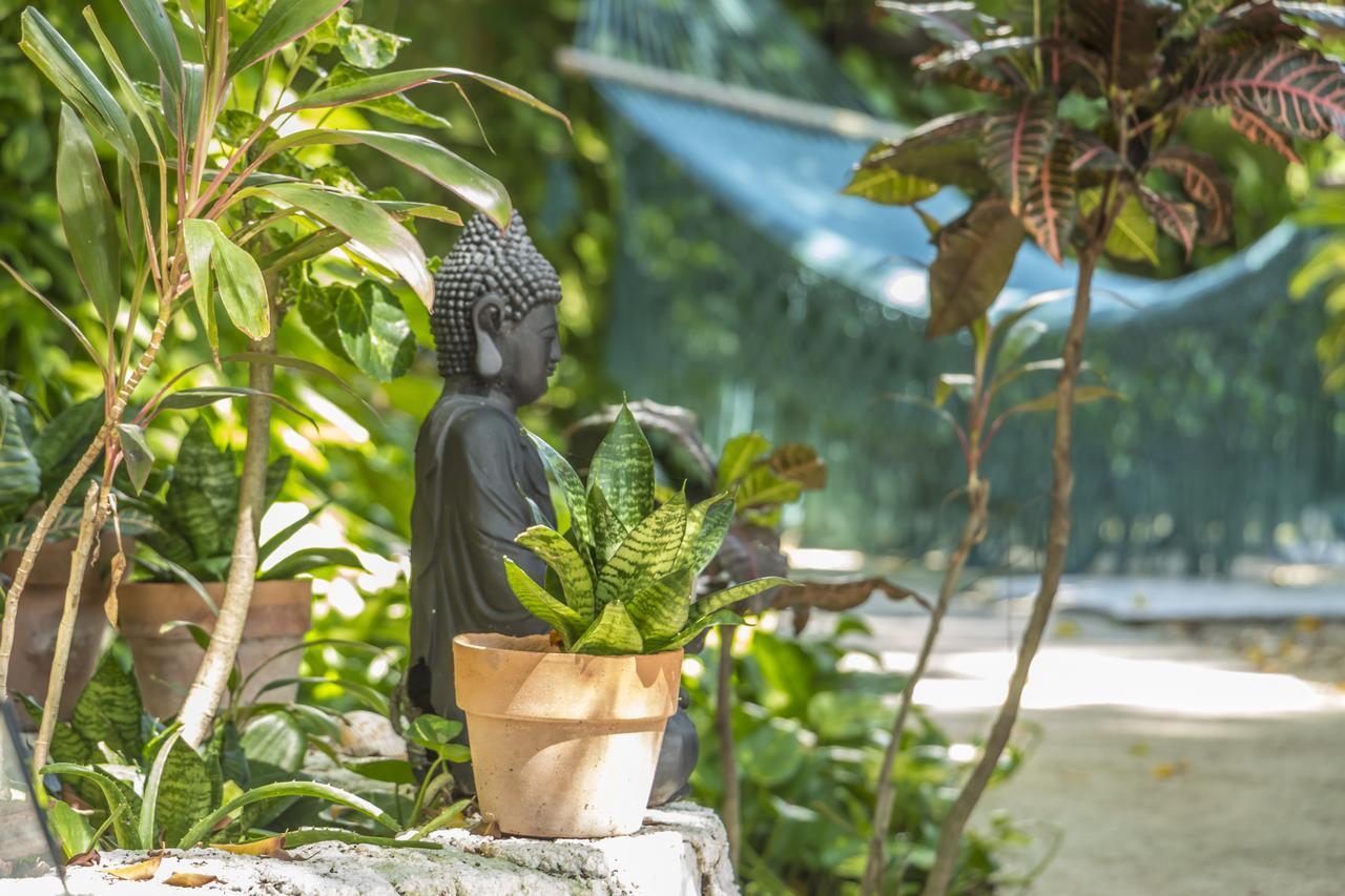 Secret Garden Tulum Hotel Экстерьер фото